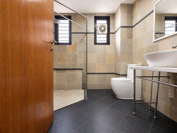 Serangoon Garden Estate (D19), Terrace #587595601